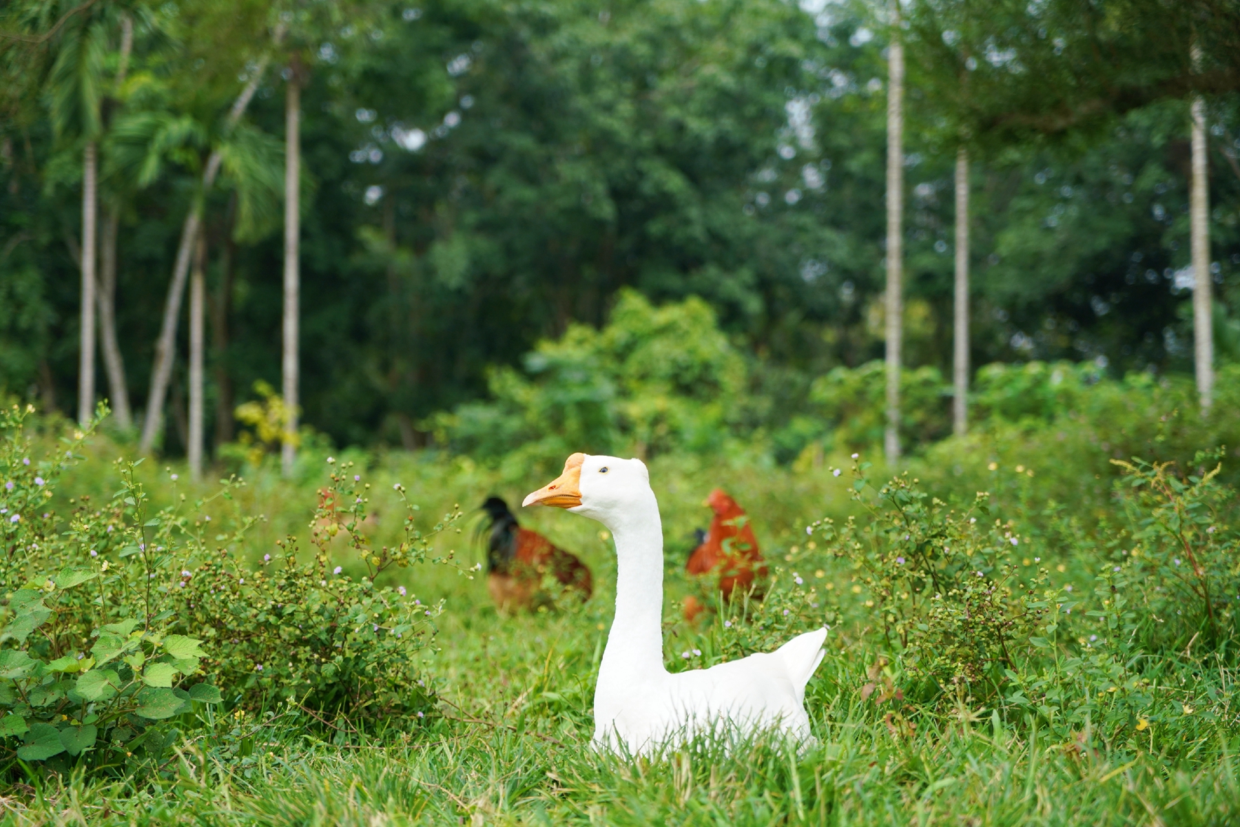 首页-PP视讯厅真人官方网站