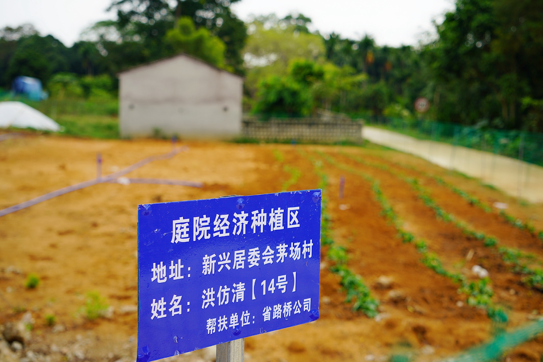 首页-PP视讯厅真人官方网站