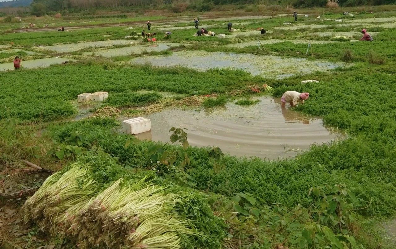 首页-PP视讯厅真人官方网站