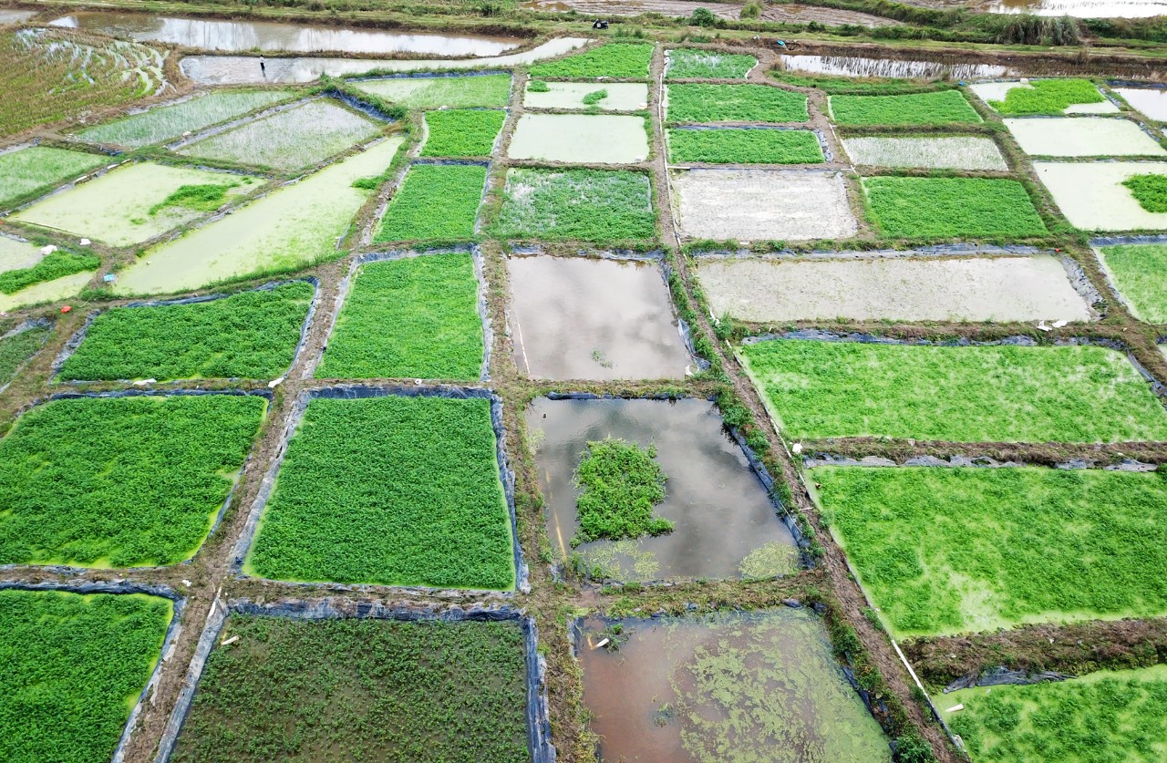 首页-PP视讯厅真人官方网站